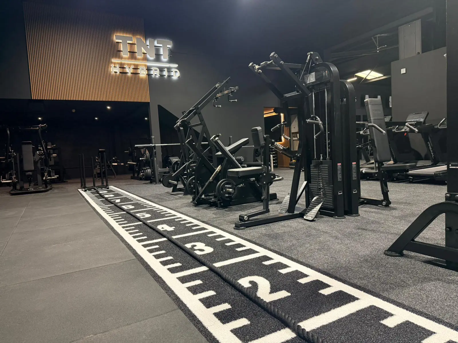 Black bumper plates and barbell under dramatic gold light