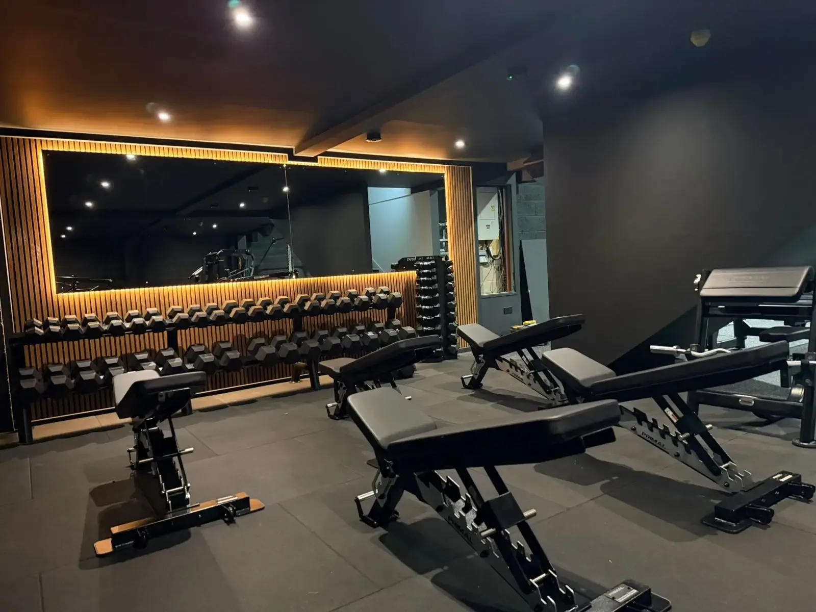 Strength rack and bumper plates in a dark cinematic gym